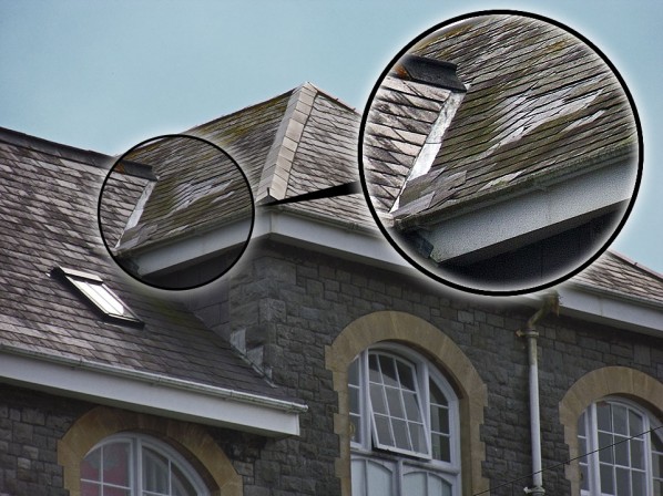 Time to stop the rot